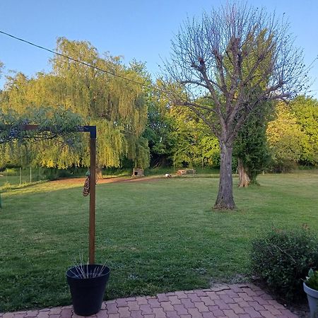 Longué La Grange Des Roisnes B&B 외부 사진