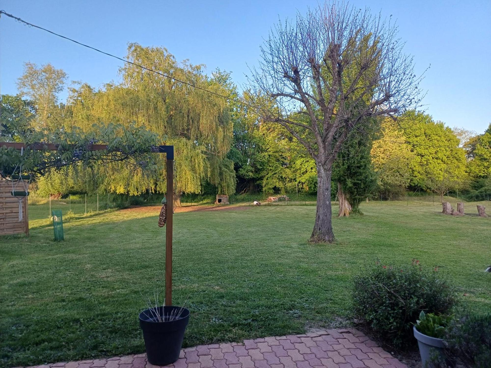 Longué La Grange Des Roisnes B&B 외부 사진
